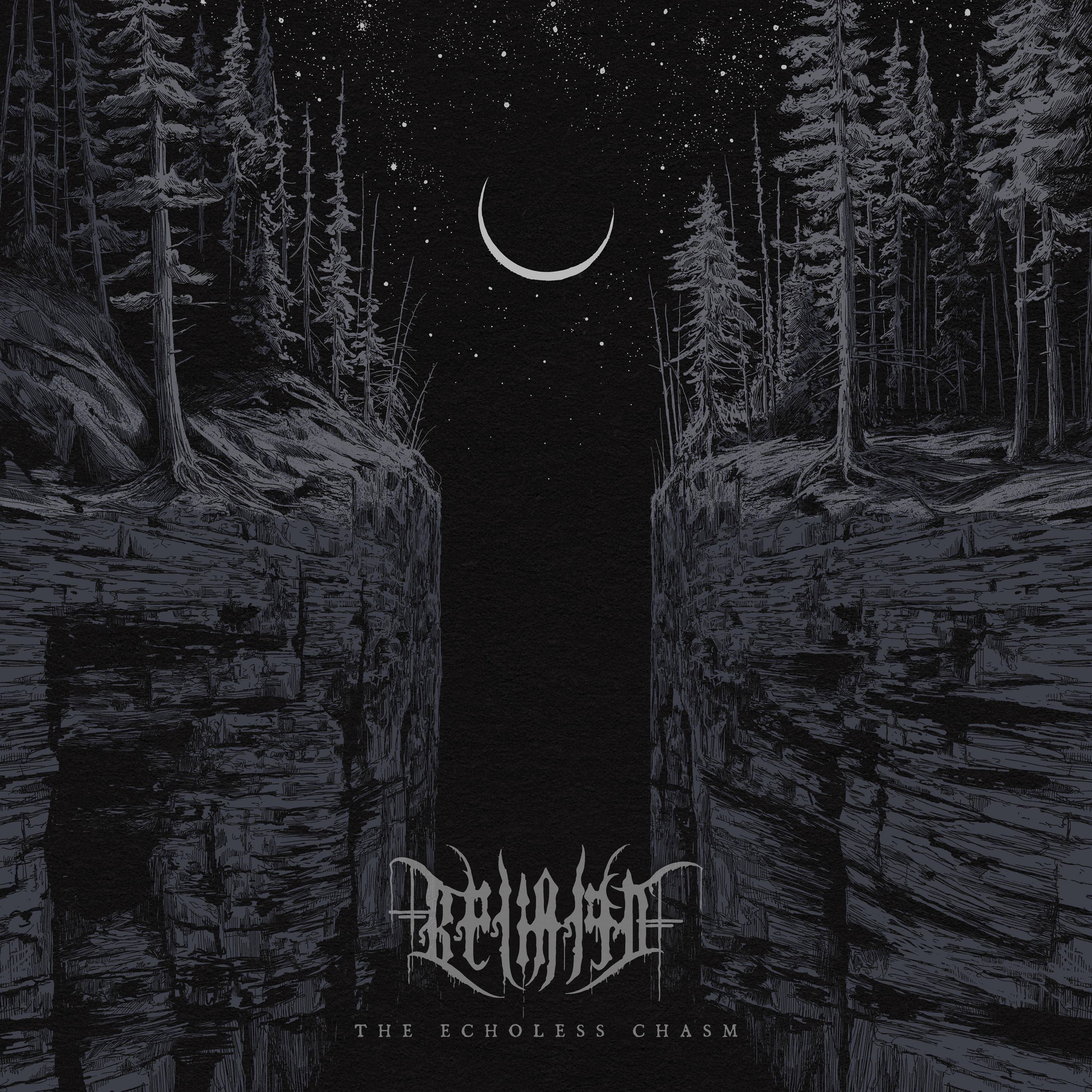 The Echoless Chasm cover